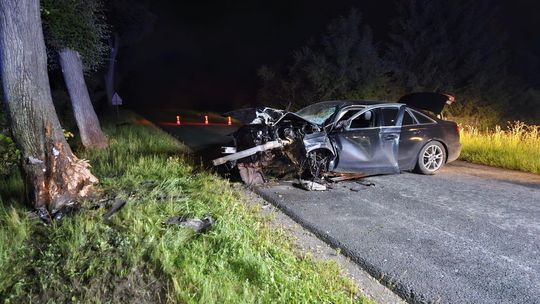 Kierowca Audi uderzył w drzewo. Mężczyzna trafił do szpitala