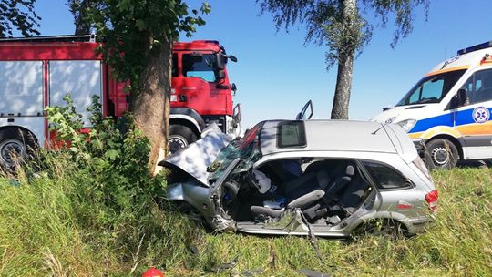 Autem w drzewo. Rannego zabrał śmigłowiec