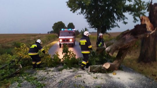 Burza nad regionem. Połamane drzewa, uszkodzony dach