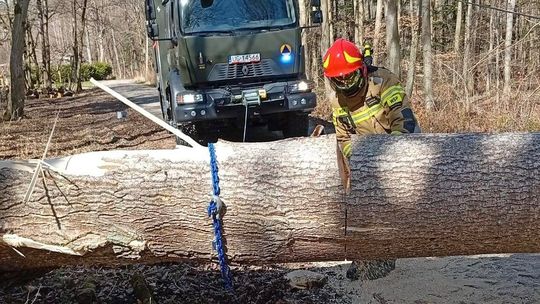 Drugi dzień świąt pod znakiem silnego wiatru. Interwencje straży pożarnej w powiecie braniewskim