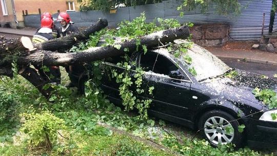 Drzewo przewróciło się na zaparkowane auto