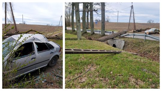 Drzewo runęło na drogę w Słobitach. Uszkodzony samochód i linia energetyczna