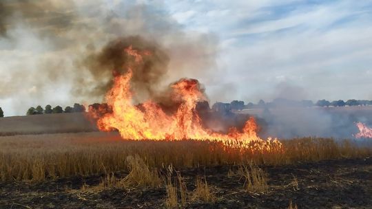 Dwa pożary, jedna wspólna cecha: spłonęły rżyska i zboże [ZDJĘCIA, FILMY]