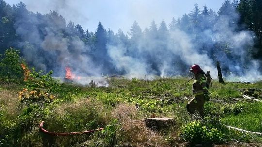 Dwa scenariusze. Duże ćwiczenia strażaków i leśników