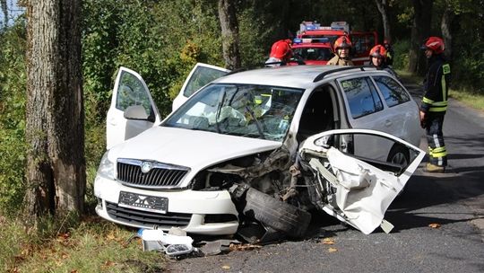 Dwaj mieszkańcy Litwy ranni w wypadku