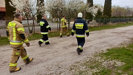 „Dziękuję kierowcy, który podniósł moją mamę z chodnika”