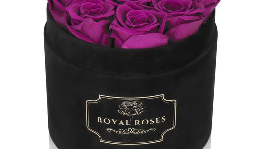 Flower Box – Przewodnik po Kwiatach w Pudełkach