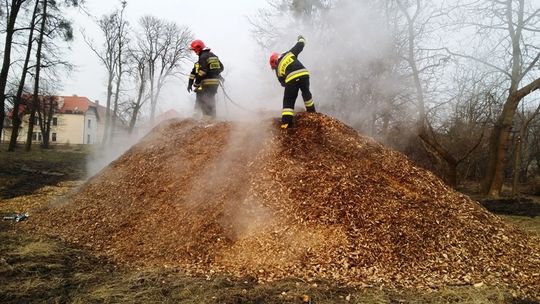 Gasili pożar zrębki