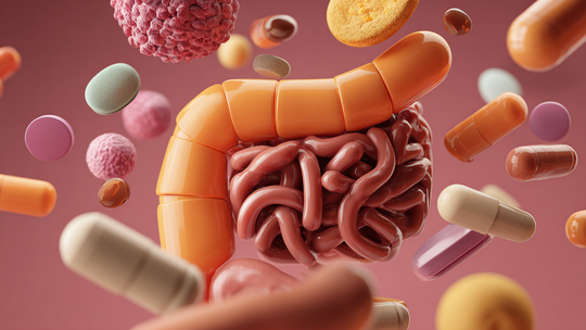 Jak mądrze sięgać po suplementy na układ pokarmowy i stosować je bezpiecznie