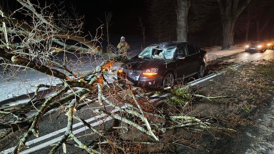 Konar runął na jadący samochód. W środku rodzina z dzieckiem