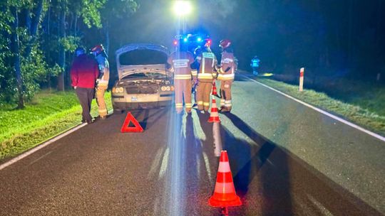 Łoś wtargnął na drogę. Zderzyły się dwa samochody