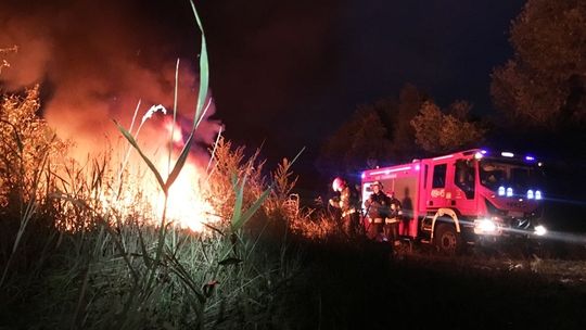 Miał płonąć budynek, paliły się śmieci