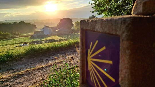 Nie tylko kilometry. Spotkanie ludzi Camino w braniewskiej bibliotece Nie tylko kilometry. Spotkanie ludzi Camino w braniewskiej bibliotece