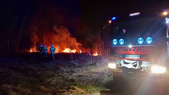 Niemal wszędzie płoną trawy