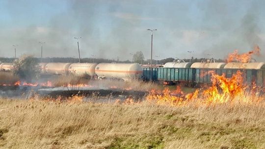 Płonął młody las, paliły się trawy. Jest bardzo sucho