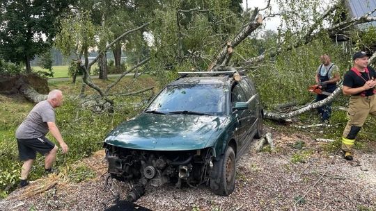 Połamane drzewa i konary. Znów mocno powiało