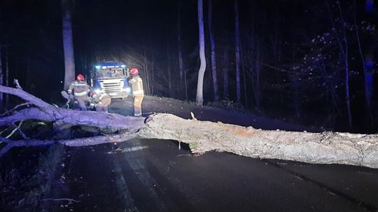 Połamane konary, przewrócone drzewa