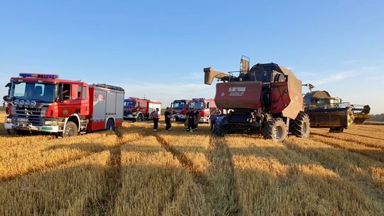 Pożar na polu. Kombajn udało się ocalić [FILM]