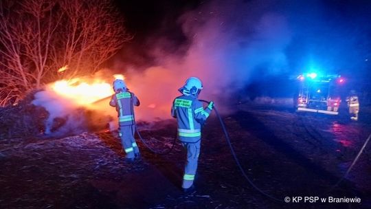 Pożar trzcinowiska nad Zalewem Wiślanym