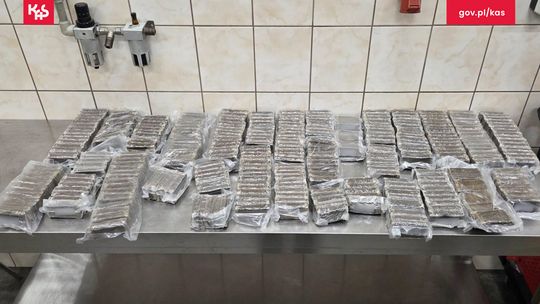 Próbował wwieźć do Rosji narkotyki warte 2 mln złotych. Wpadł na granicy