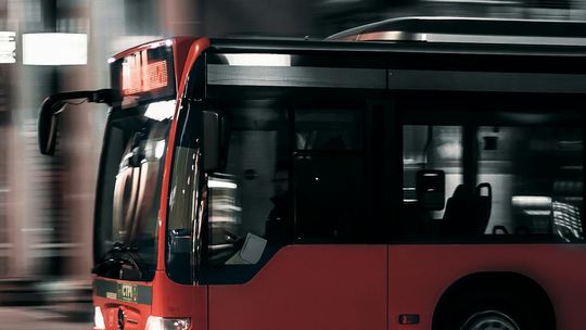 Ranking busów do Holandii