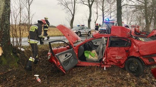 Samochód uderzył w drzewo. Kierowca w szpitalu