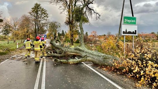 Silnie wieje. Noc może być także niespokojna