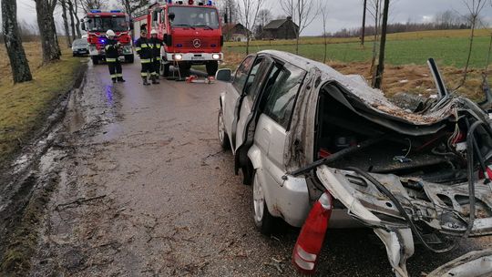 Silny wiatr. Zniszczone auto, powalone drzewa [ZDJĘCIA]