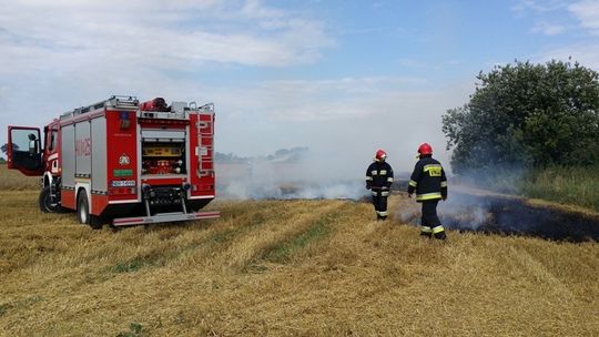 Strażacy w porę ugasili pożar ścierniska