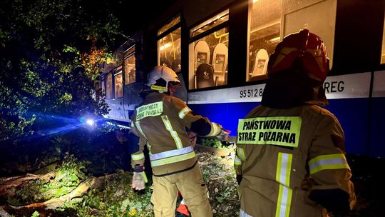 Szynobus uderzył w drzewo. Jechało nim 16 osób