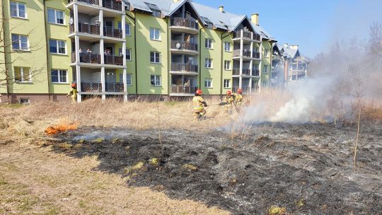 Trawy płoną nawet pod oknami domów