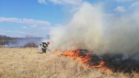 Wciąż płoną trawy i nieużytki