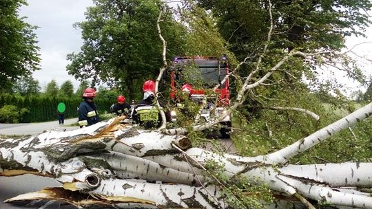 Wichura przewracała drzewa. Były podtopienia