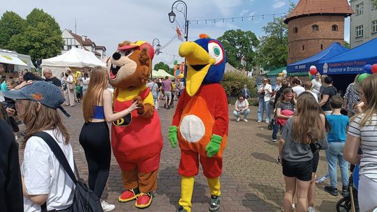 Zabawa, warsztaty i ważna misja. Rodzinny piknik w Braniewie Zabawa, warsztaty i ważna misja. Rodzinny piknik w Braniewie