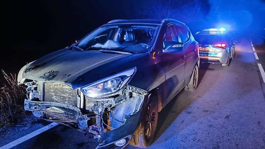 Zderzył się z jeleniem. Zwierzę nie przeżyło uderzenia