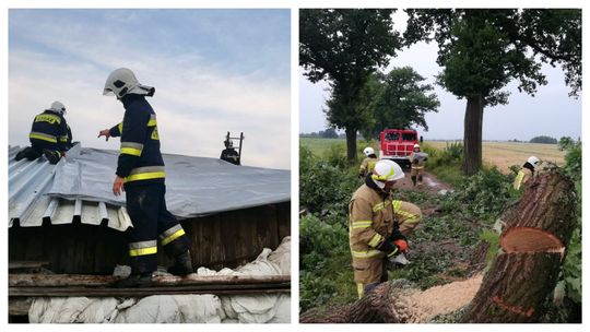 Zerwany dach, połamane drzewa i konary