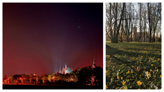 Ziemia braniewska jest piękna. Pokażcie to na fotografii