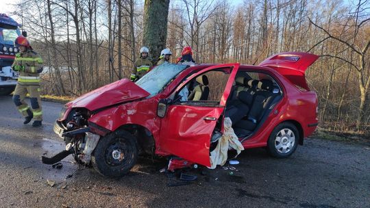 Zjechał z drogi i uderzył w drzewo