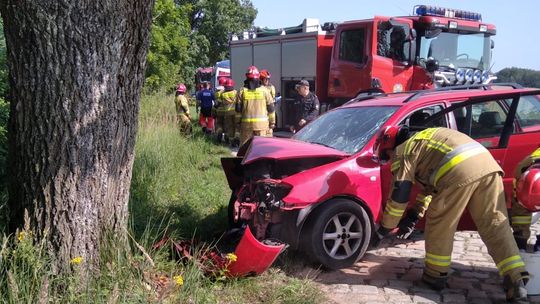 Zjechała z drogi i uderzyła w drzewo