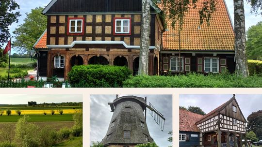 Żuławy Wiślane szlakiem domów podcieniowych, mennonitów i wiatraków typu holenderskiego