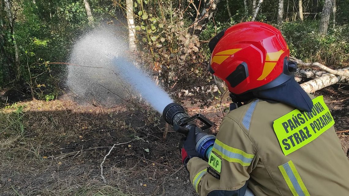 Kolejny pożar lasu. I znów – na szczęście – udało się go zgasić w zarodku