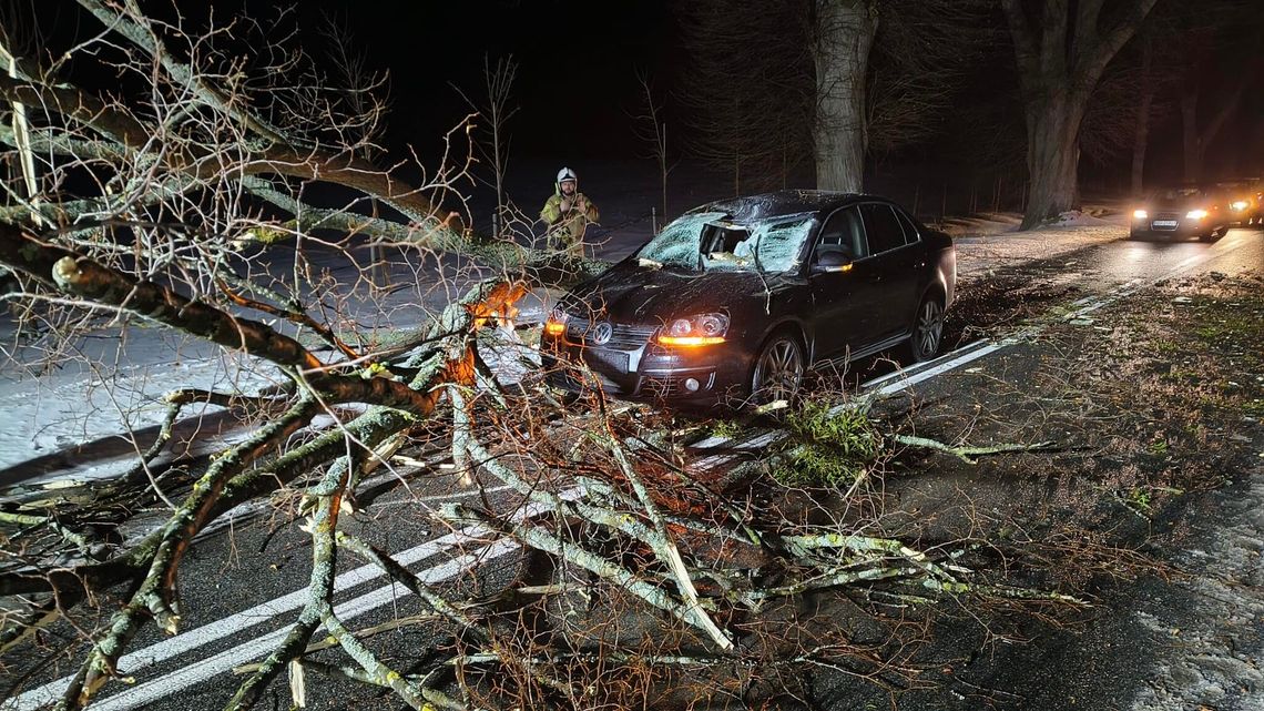 Konar runął na jadący samochód. W środku rodzina z dzieckiem