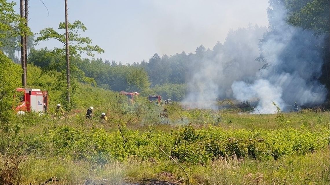 „Leśny Trud 2021”. Strażacy ćwiczyli gaszenie pożaru lasu