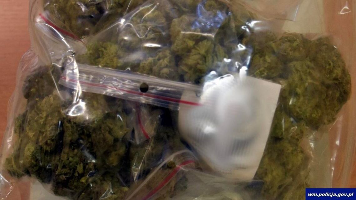 Marihuana w domu i pod ziemią. Cztery osoby zatrzymane