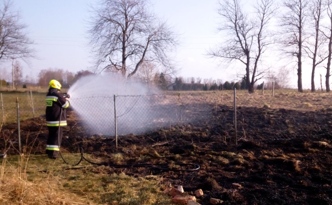 Pierwsze pożary traw. Płoną nieużytki i łąki