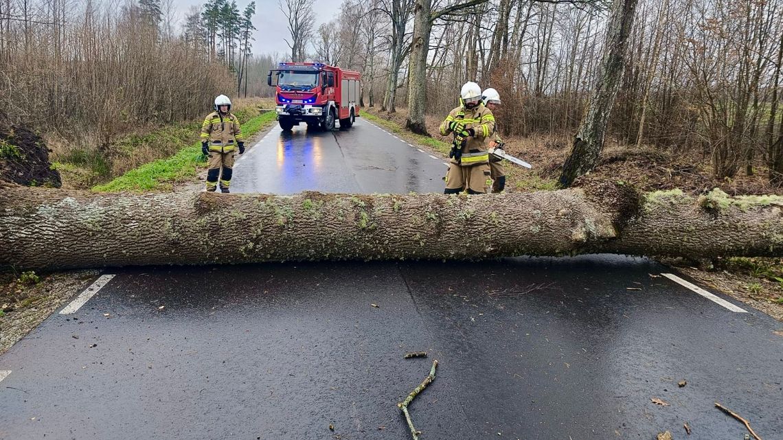 Pierwsze skutki porywistego wiatru. Na drogach ślisko