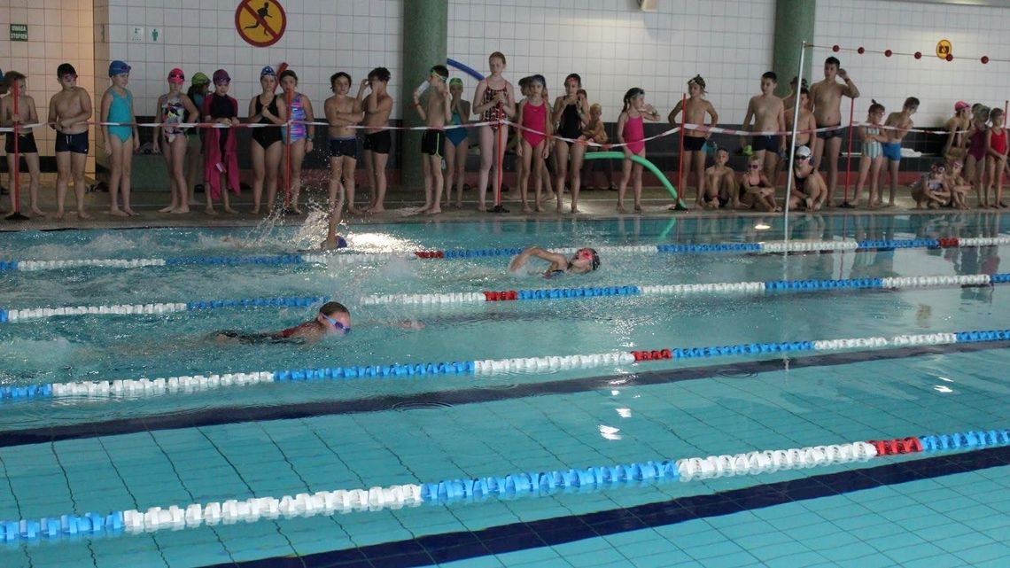 Pływajmy Razem. Zawody pływackie na braniewskim basenie