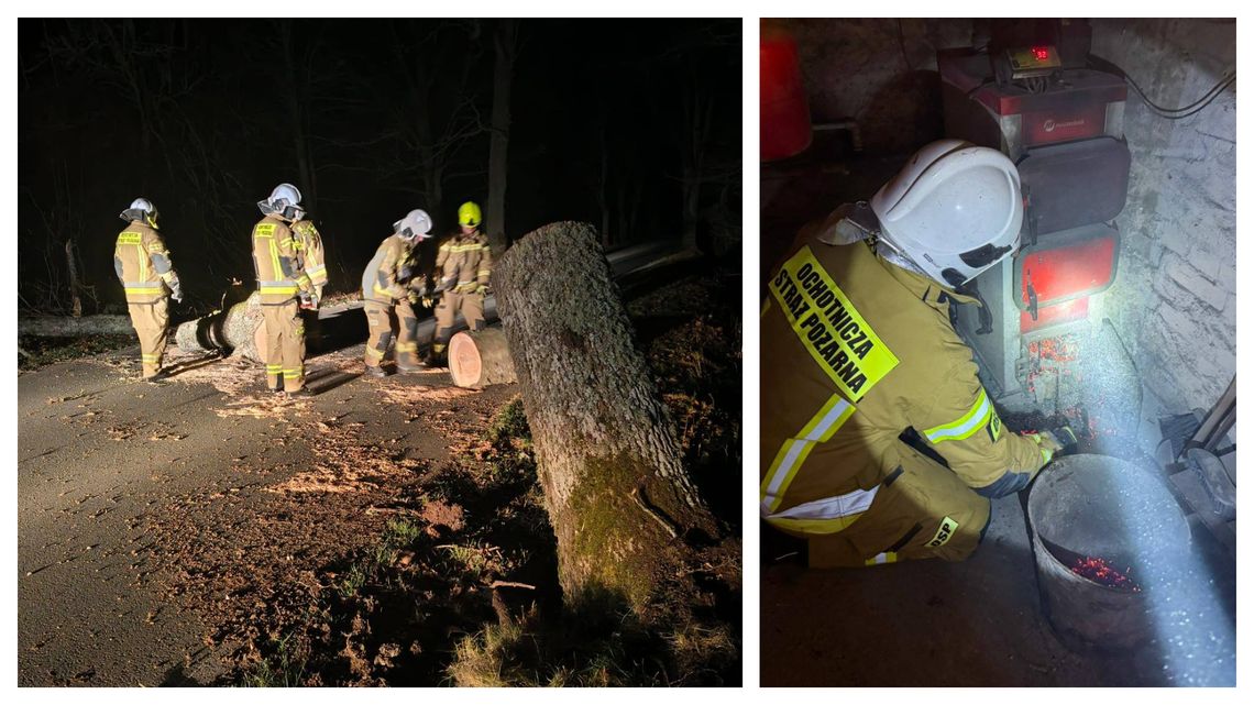 Pożary sadzy i powalone drzewa. Pracowite dni strażaków