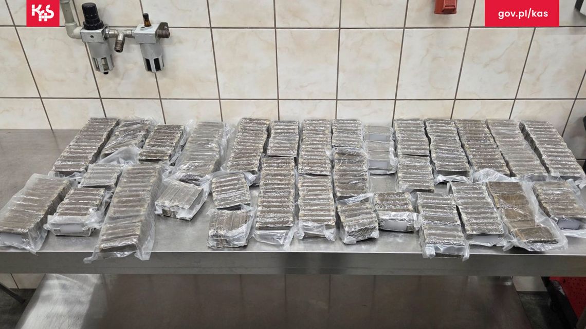 Próbował wwieźć do Rosji narkotyki warte 2 mln złotych. Wpadł na granicy
