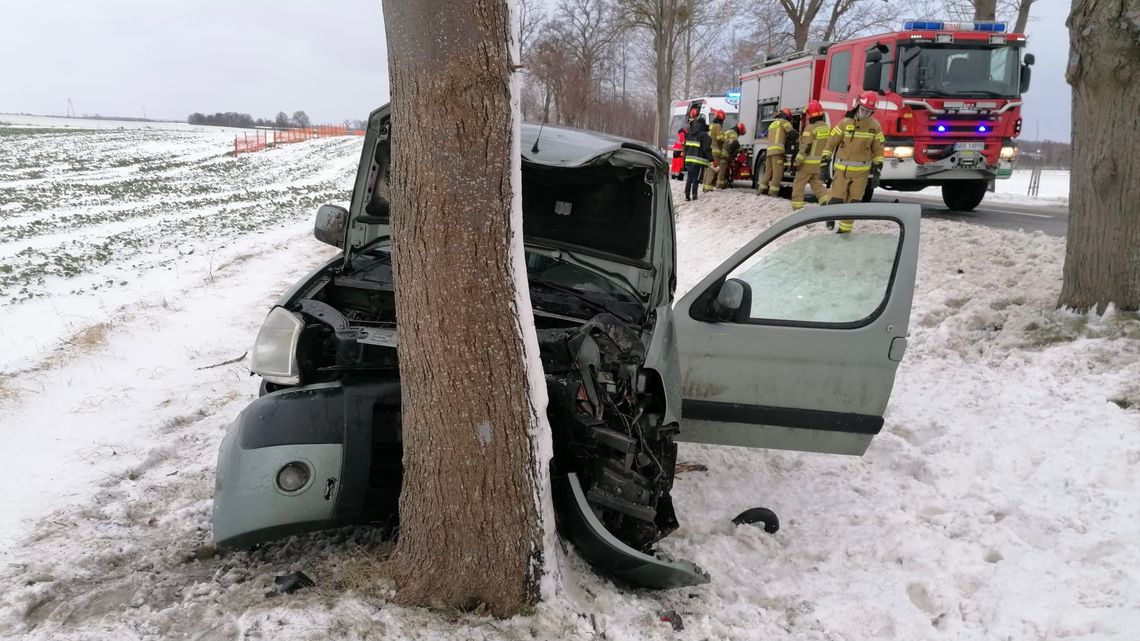 Samochód rozbity na drzewie, kierowca w szpitalu